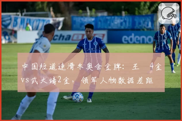 中国短道速滑冬奥会金牌：王濛4金vs武大靖2金，领军人物数据差距