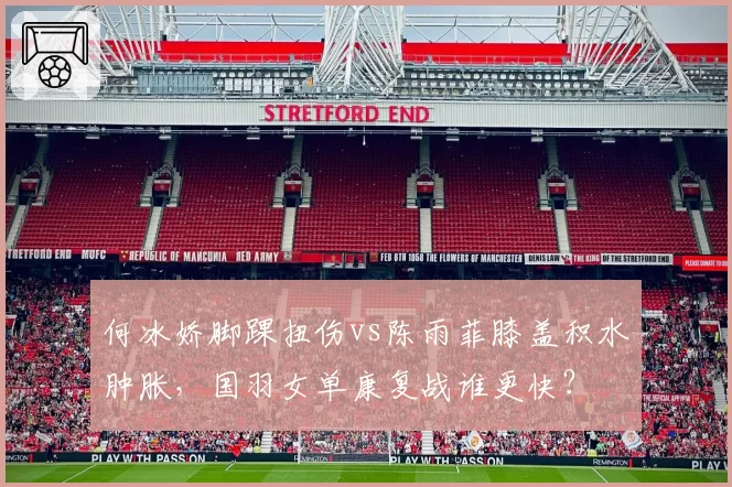 何冰娇脚踝扭伤vs陈雨菲膝盖积水肿胀，国羽女单康复战谁更快？