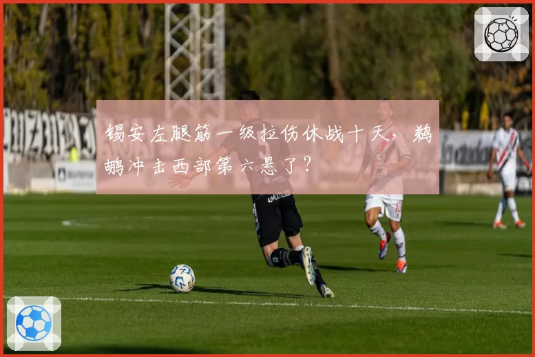 锡安左腿筋一级拉伤休战十天，鹈鹕冲击西部第六悬了？