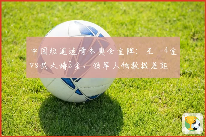 中国短道速滑冬奥会金牌：王濛4金vs武大靖2金，领军人物数据差距