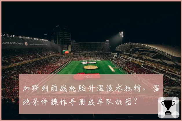 加斯利雨战轮胎升温技术独特，湿地条件操作手册成车队机密？