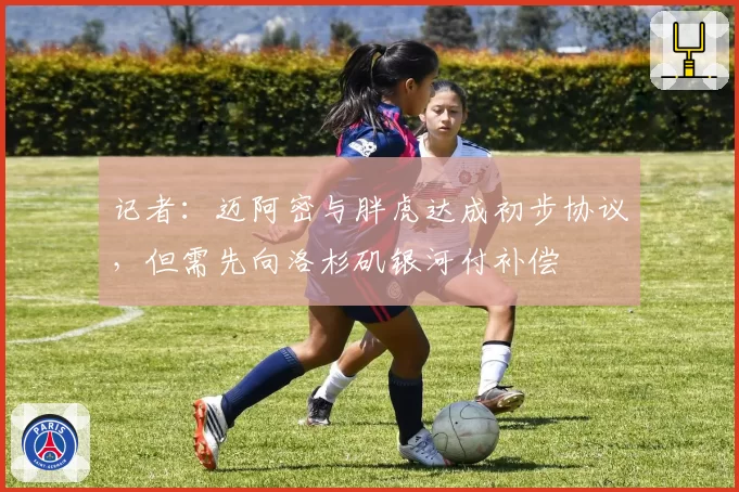 记者：迈阿密与胖虎达成初步协议，但需先向洛杉矶银河付补偿