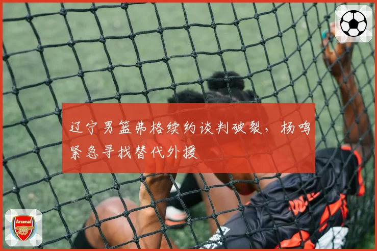 辽宁男篮弗格续约谈判破裂，杨鸣紧急寻找替代外援