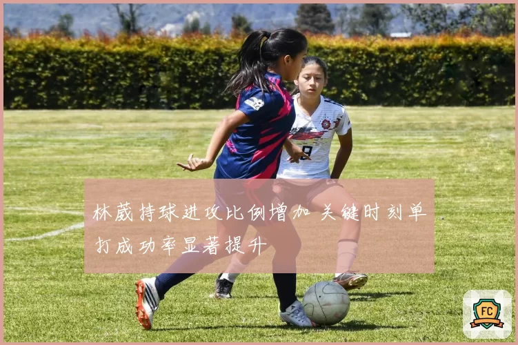 林葳持球进攻比例增加 关键时刻单打成功率显著提升
